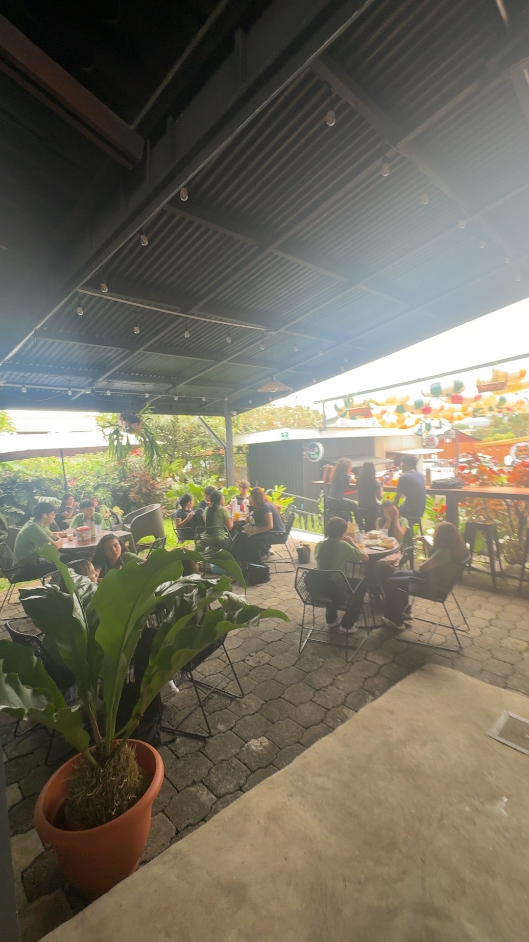 Terraza techada con mesas y plantas en La Palma Red